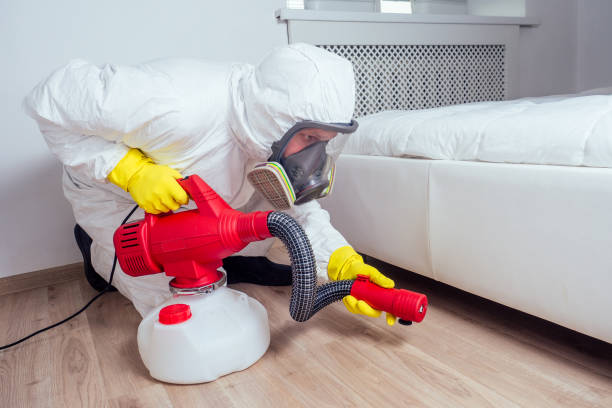 Best Bed Bug Extermination  in Buena Park, CA